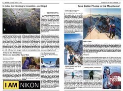 Revista Peyzage 2