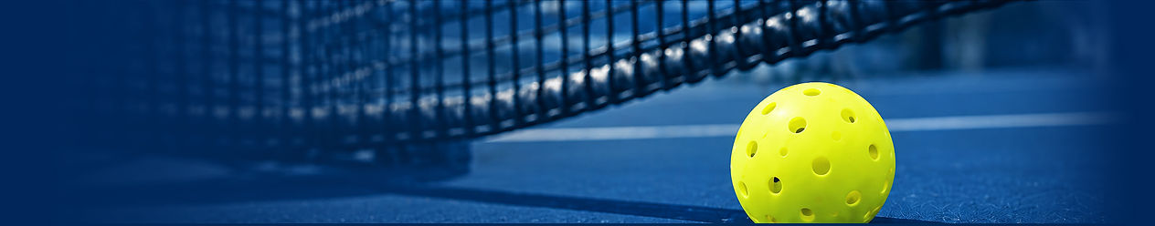 Horizontal Blue Net and Ball Background copy.jpg