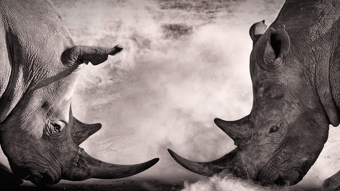 Africa Roam December Newsletter