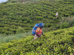 PXL_20250423_054745527