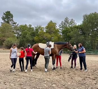 Canter Team Field Trip!