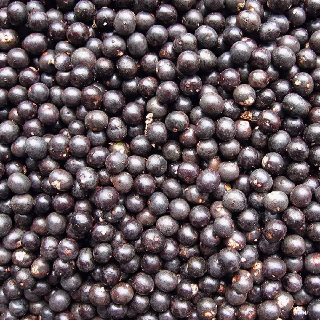 Óleo de Açaí