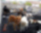 186297482_5418921748183099_615506753454600833_n.jpeg