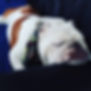 165068907_5198166590258617_5515460655091533291_n.jpeg
