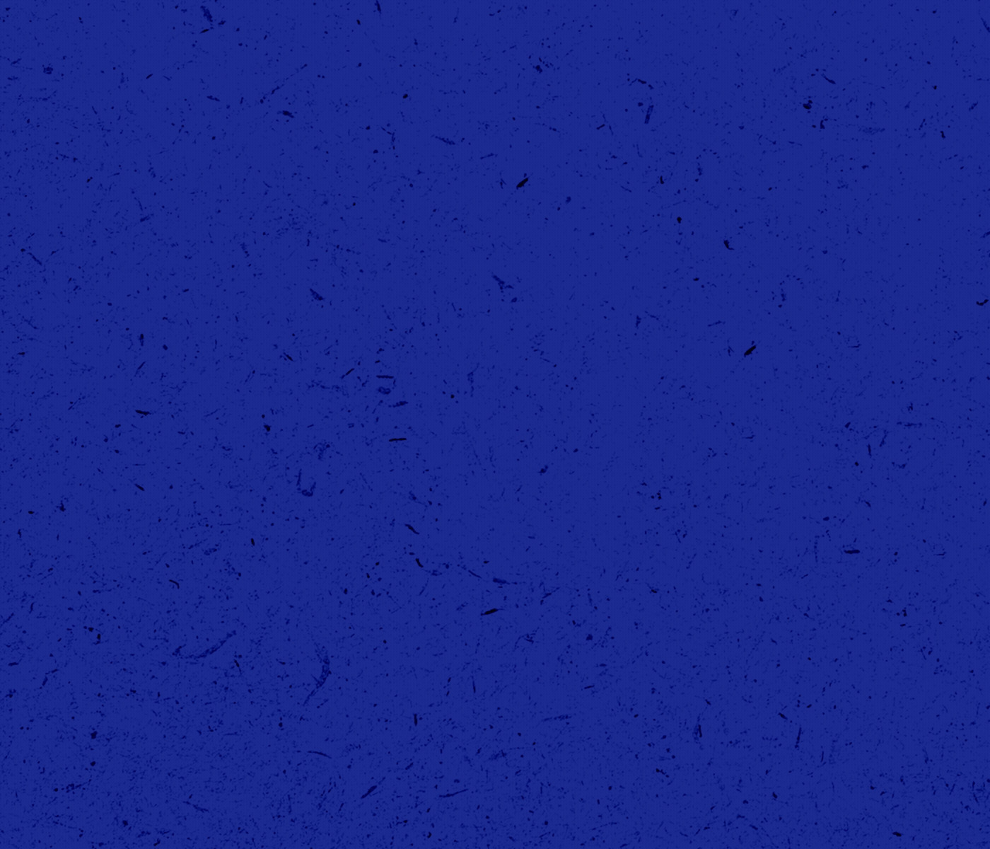 Blue face icon and logo, Restaurant Branding