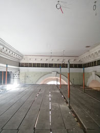 Cornice restoration.