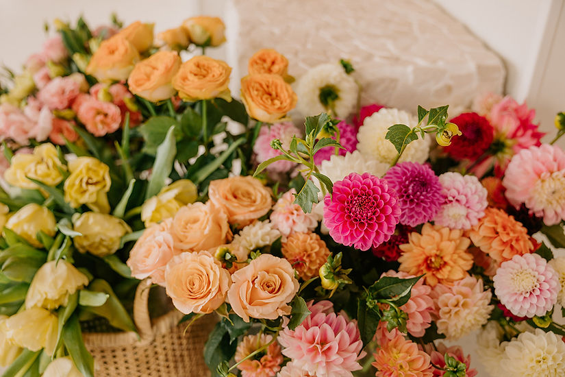 Wild Cosmo Flowers Florist Taree
