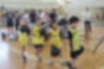 Festival de Mini-Handebol FPHb