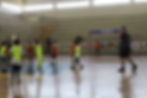 Festival de Mini-Handebol FPHb
