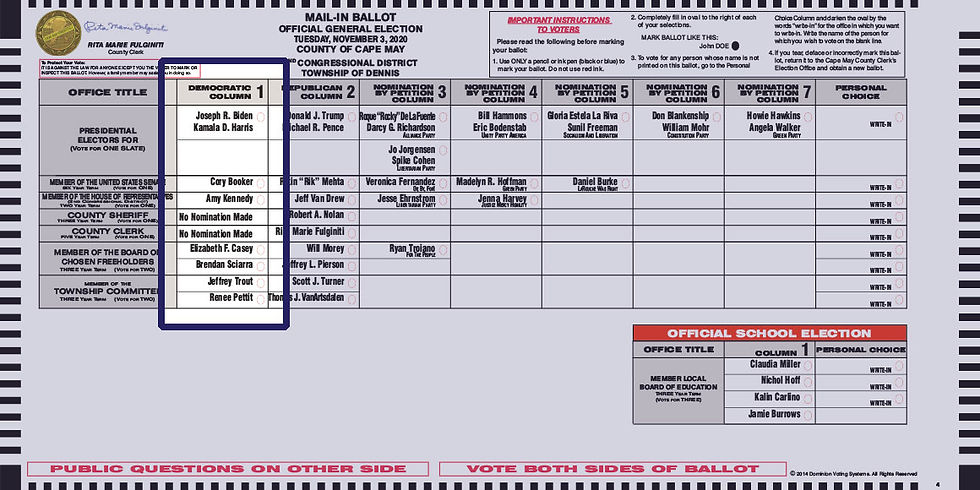 DennisBallot.jpg