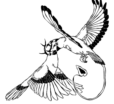 thumbnail_IMG_0987.png