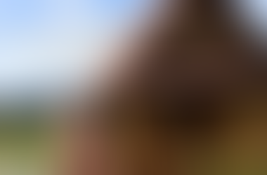 The Secret Garden Cotopaxi más que un hostel un lugar de aventura y meditación