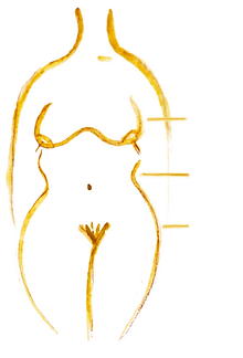corpitcho.png
