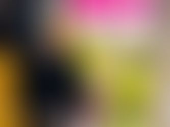 VivemásViajandoByFraveo asistió a la presentación del operador sobre el destino Jamaica.