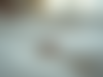 How to Identify the Signs of a Bed Bug Infestation