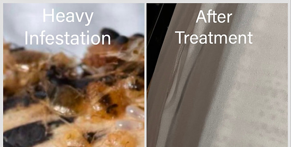 before and after image