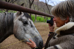 HorseWhisperer_5081.jpg