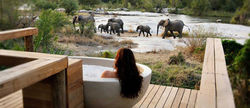 Londolozi-Bath-with-Elephants-1