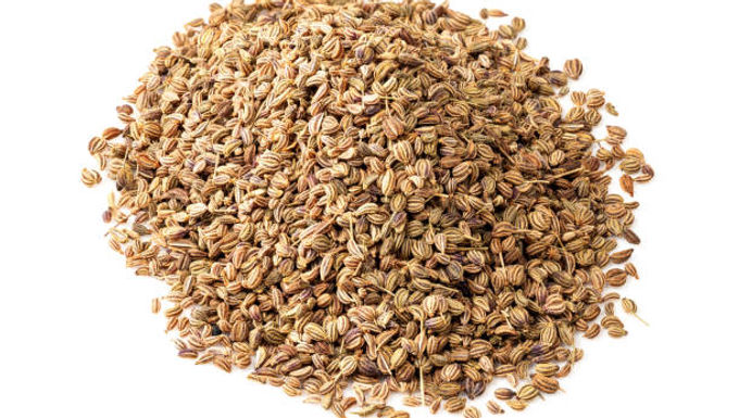 Ajwain oil