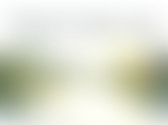 My peace I give to you