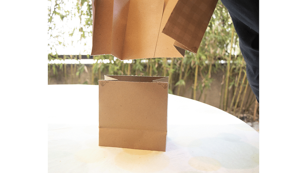 PepesmartBag-ezgif.com-cut (1).gif