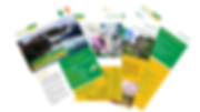 Untitled design (28).png