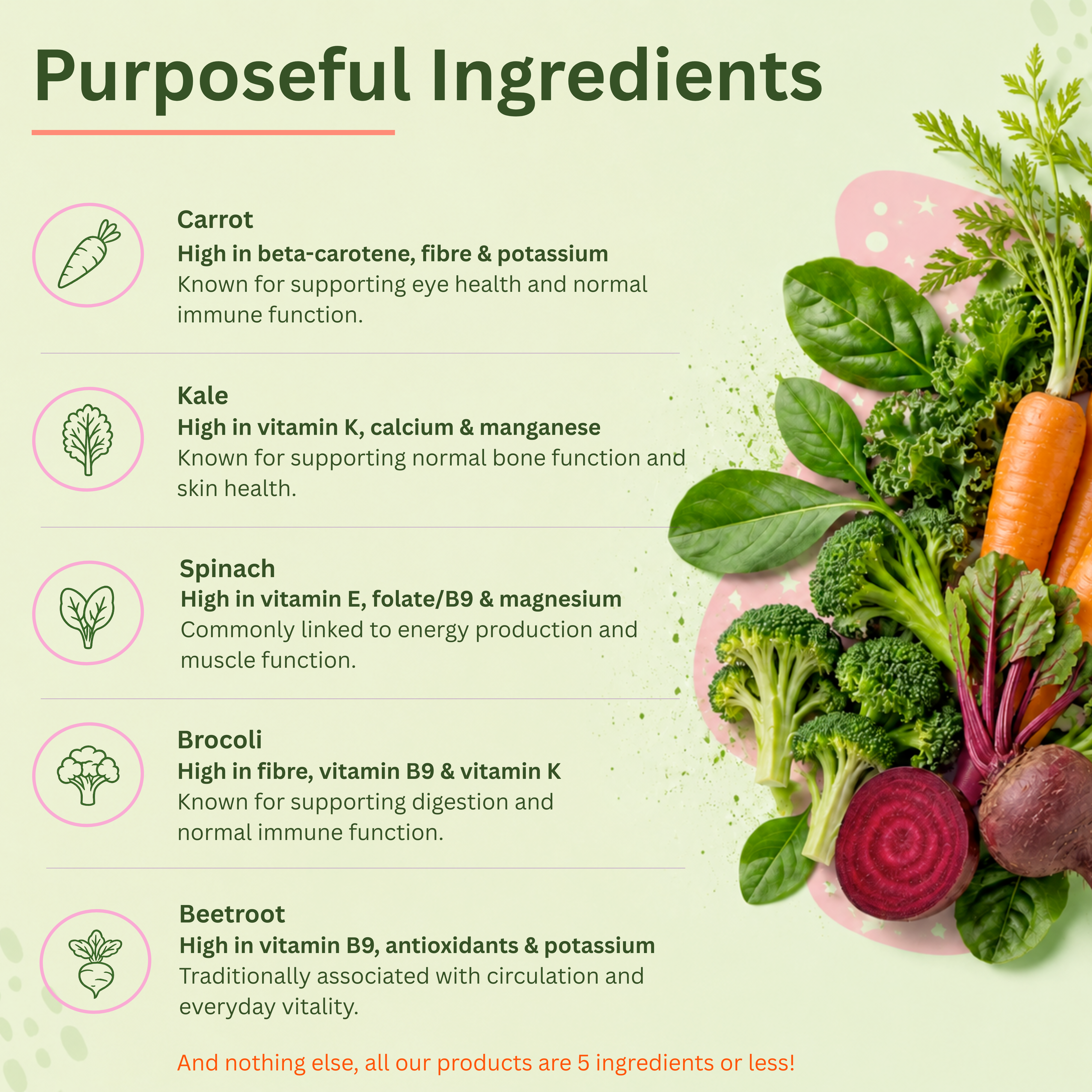 UNSPOKEN Hidden Veg Powder for Kids & Adults