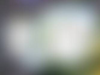 3月直書き御朱印のお知らせ