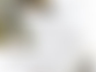 11月１６日（土）閑坐聴松風－禅体験とコンサート－