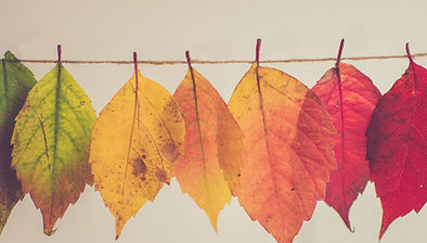 assorted-color lear hanging decor_edited_edited.jpg