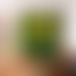 Vorteile Innenwandbegrünung