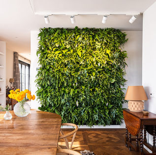 Vorteile Innenwandbegrünung