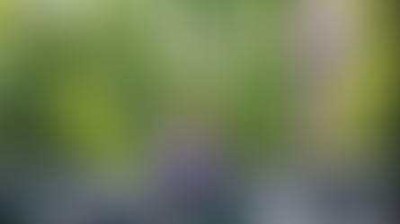 Pflege für lebendige Begrünung