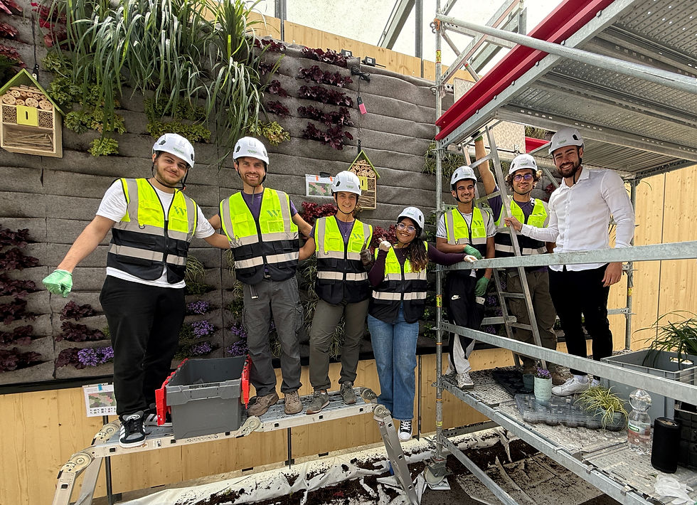 Integravista GmbH & WildWall GmbH - Wandbegrünung Stadt Dietikon