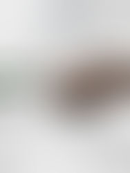 2026 Circular Shift: Scrap Smart with ECCEL for a Sustainable Auto Future