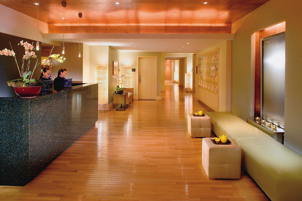 Lobby Health Therapy | Sintra