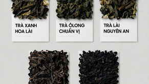 Cách Chọn Trà Pha Chế Cho Quán (Q&A)