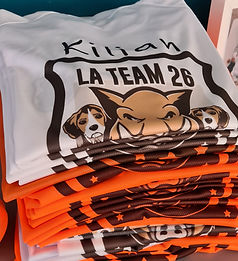 t26 pile.jpg
