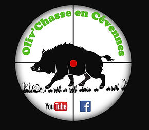 olive_chasse_Cévennes_SITE.jpg
