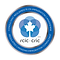 RCIC_lapel_pin_colour(1).png