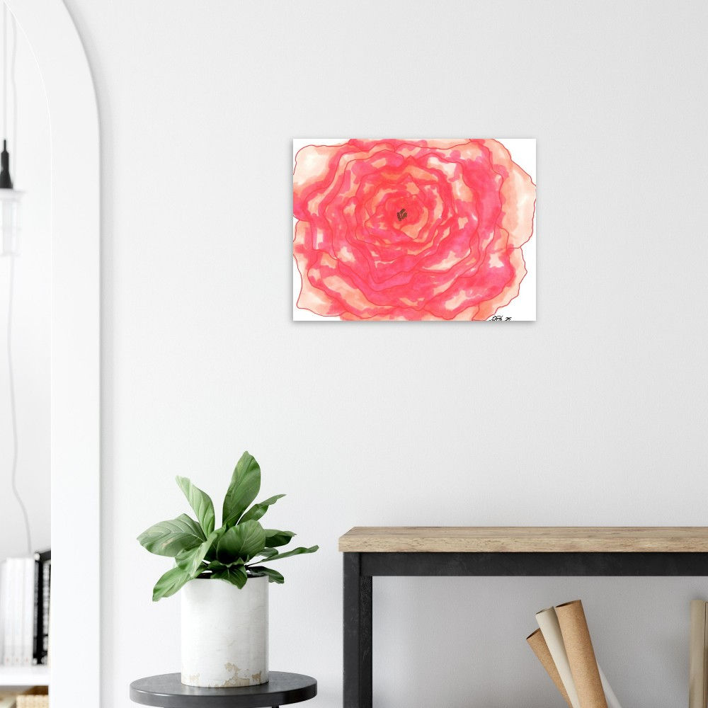 Crimson Rose - Fine Art Print