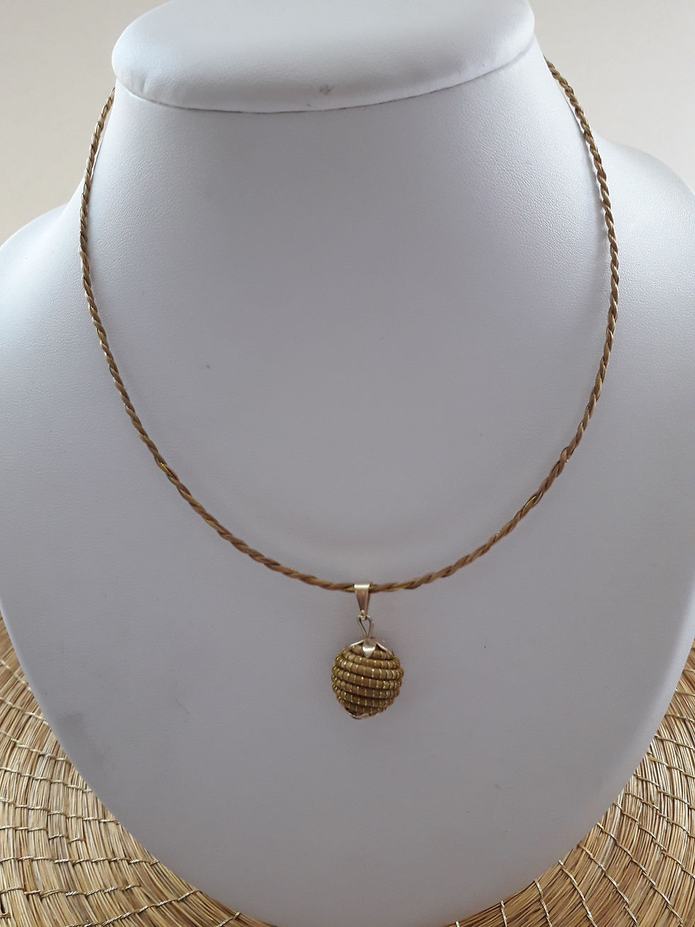 COllier Orbita