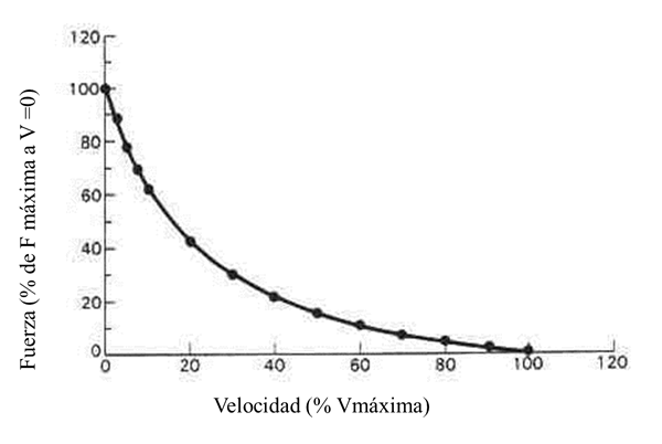 Fuerza Velocidad.gif