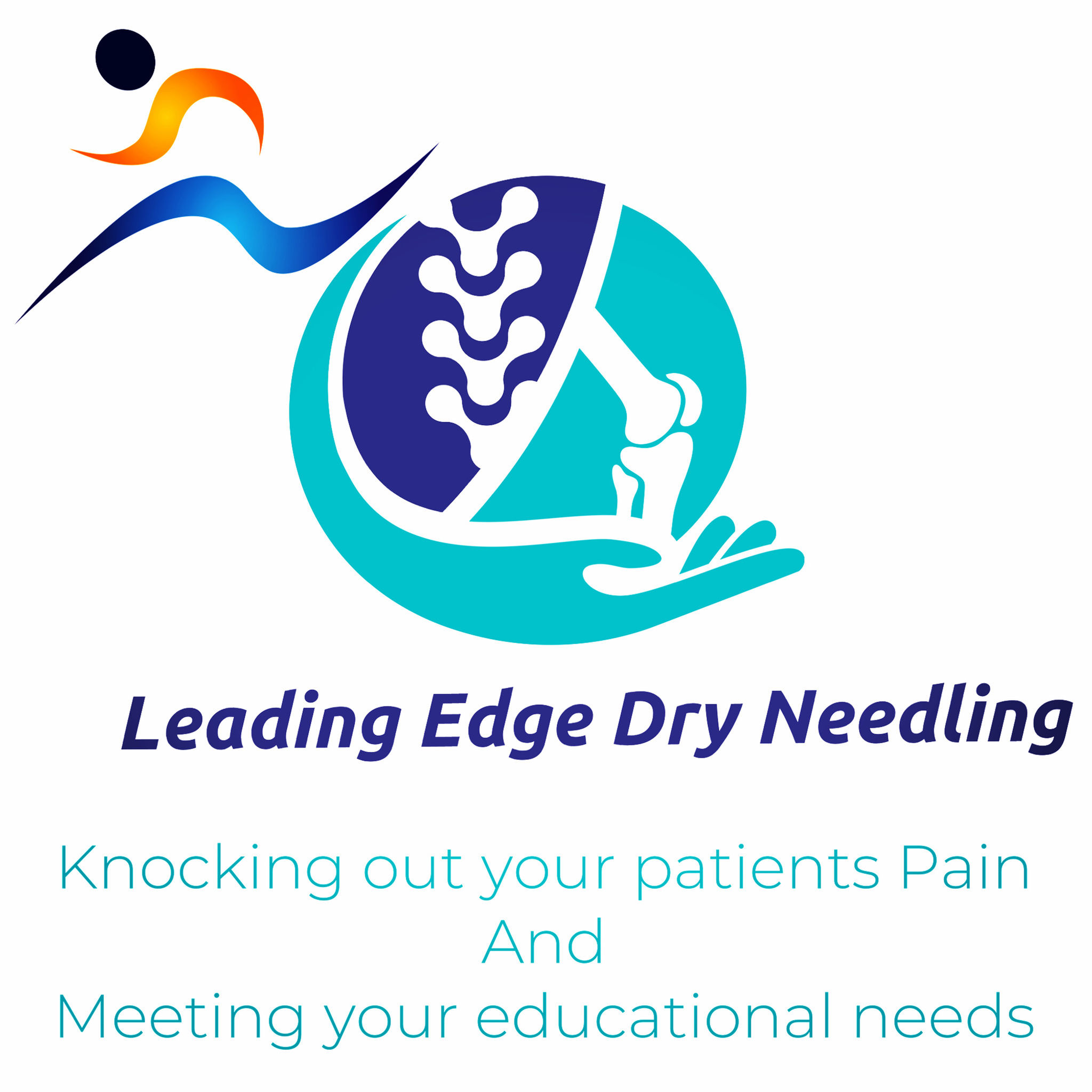 Dry Needle 1 lab book