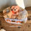 Miniature : Pack Naissance Fond Bois 28_15 cm