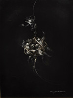 HOPE FROG 2 Anne Bachelier
