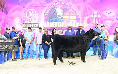 2022 AJSA National Classic Reserve Grand Champion Purebred Heifer.jpeg