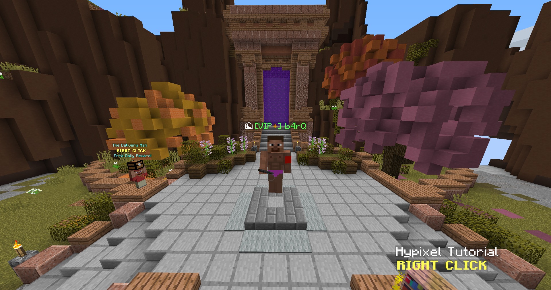 Cuenta Minecraft - Hypixel VIP +