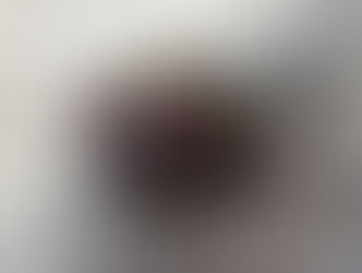 オオセンチコガネ