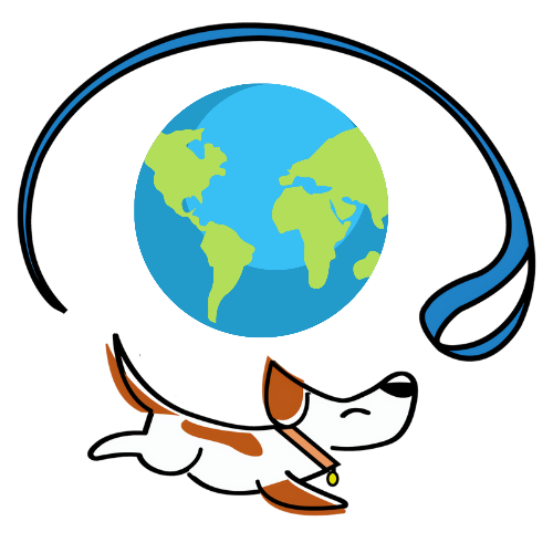 SportyDog no es solo un paseo, es un movimiento global